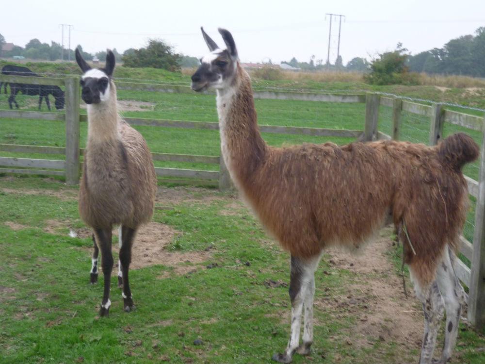 Barmston Farm Hotel Kingston upon Hull Bagian luar foto